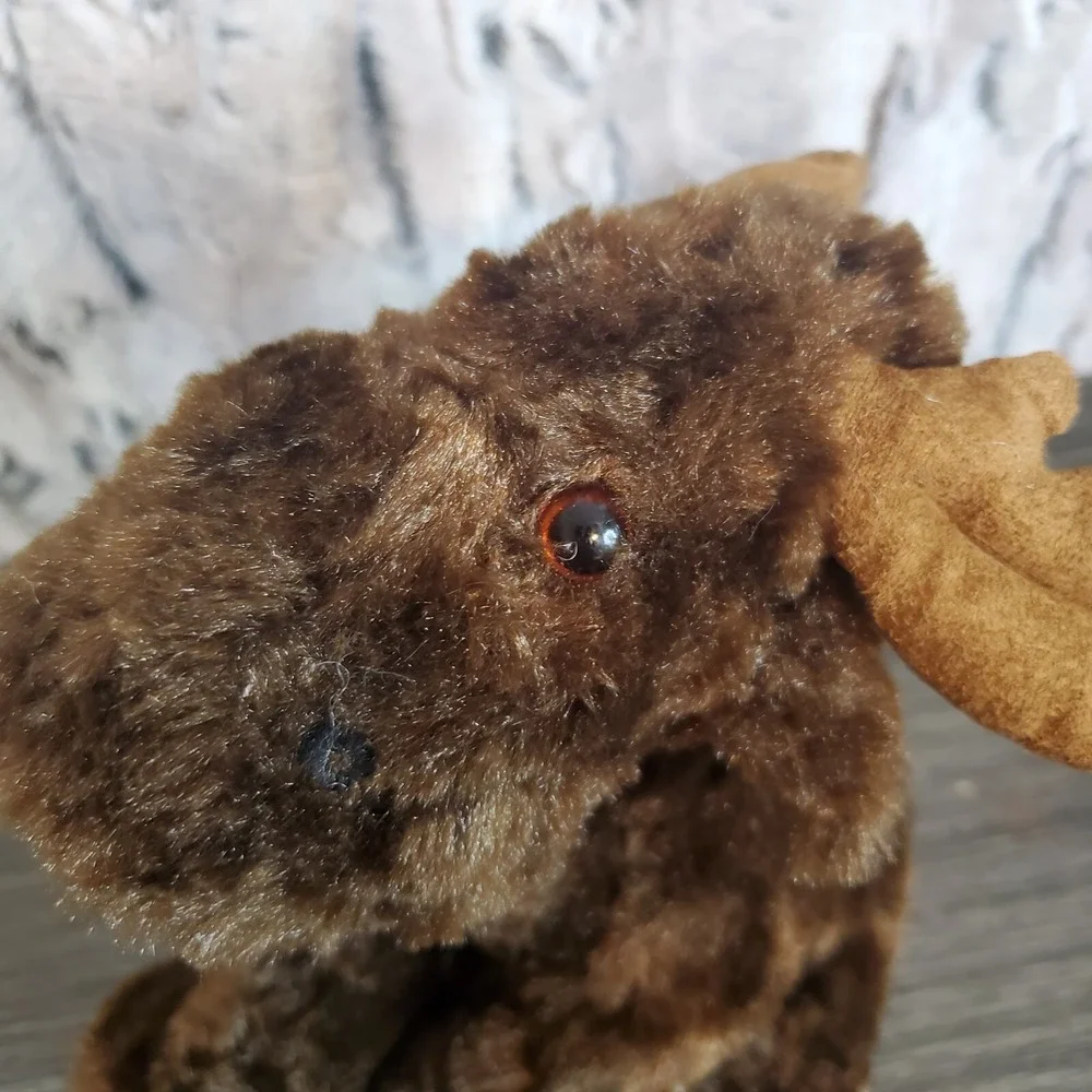 Brown Moose 7